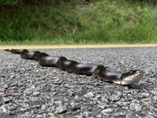 Blue Ridge Parkway 