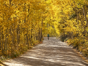 White River National Forest