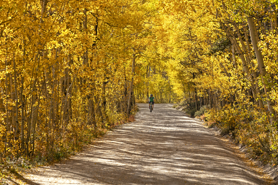 White River National Forest