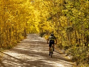 White River National Forest