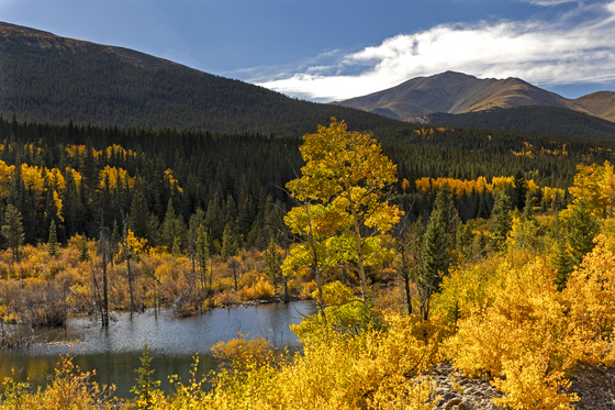 White River National Forest