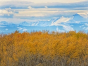 Fall Landscape in Calgary