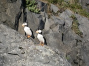 Kenai Fjords National Park 