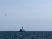 Breakwater Light