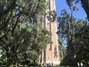 Book Tower Gardens
