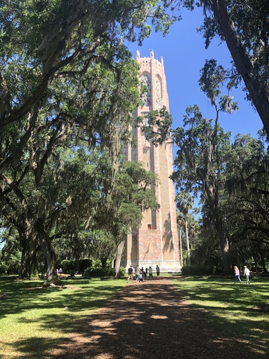 Book Tower Gardens