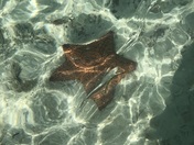 Biscayne National Park 