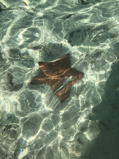Biscayne National Park 