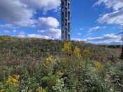 Flight 93 National Memorial