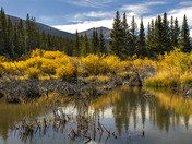 White River National Forest