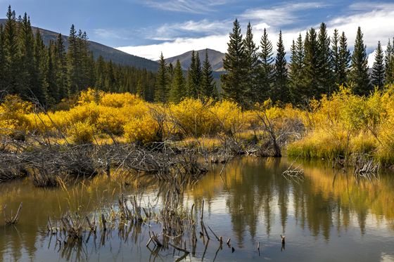 White River National Forest