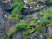 Kenai Fjords National Park