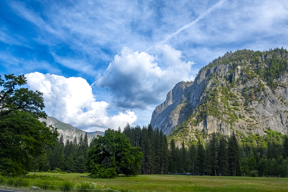 Yosemite National Park