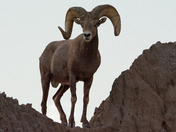 Badlands National Park