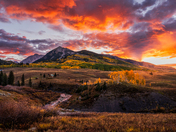 Gunnison national Forest