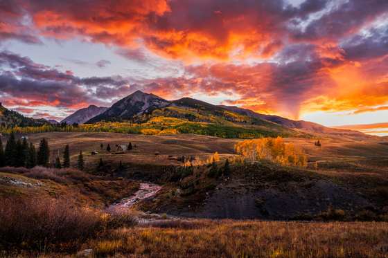 Gunnison national Forest