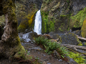 Wahclella Falls 