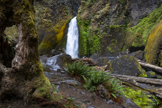 Wahclella Falls 