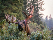 Grand Teton National Park