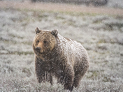 Grand Teton National Park