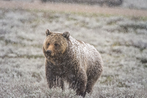 Grand Teton National Park