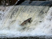 That time of year again!