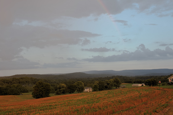 Antietam National Battlefield
