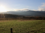 Cades Cove National Park