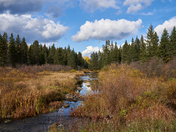 The Sound of Silence