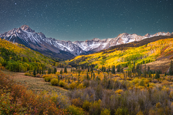 Uncompahgre National Forest