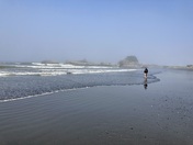 Olympic National Park