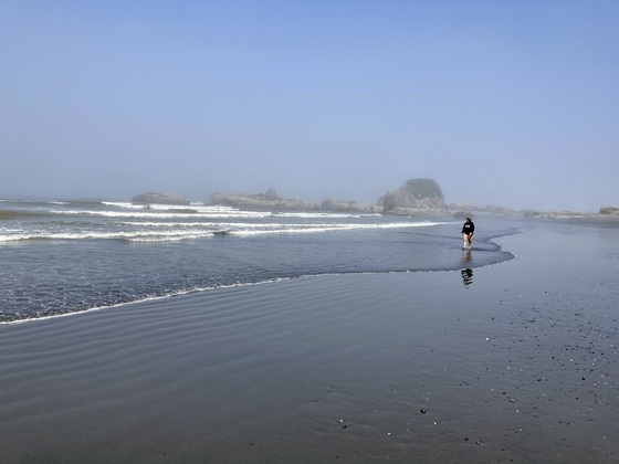 Olympic National Park