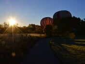 Morning Ballooning