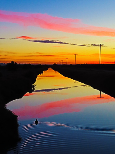Sonny Bono National Wildlife Refuge