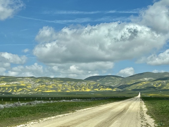 Carrizo National Monument
