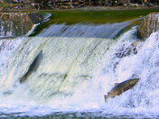 You go this way and I'll go....