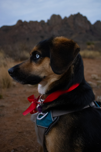 ORGAN MOUNTAINS-DESERT PEAKS NATIONAL MONUMENT