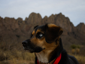 ORGAN MOUNTAINS-DESERT PEAKS NATIONAL MONUMENT