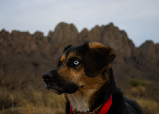 ORGAN MOUNTAINS-DESERT PEAKS NATIONAL MONUMENT