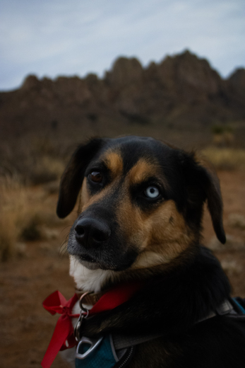 ORGAN MOUNTAINS-DESERT PEAKS NATIONAL MONUMENT