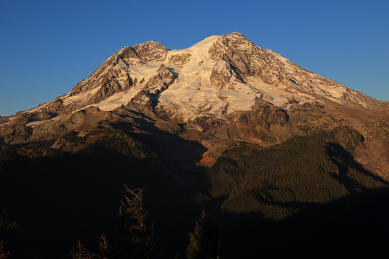 Mt Rainier National Park