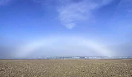 Olympic National Park