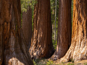 Yosemite National Park