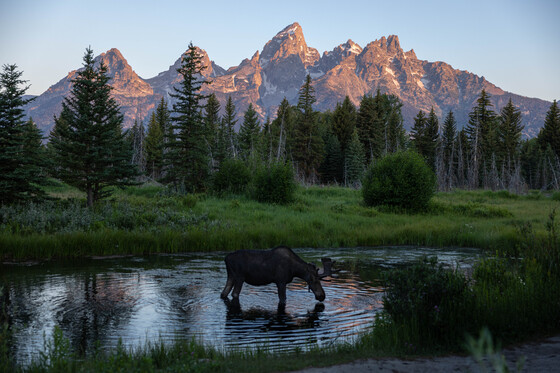 Grand Teton National Park