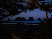 Olympic National Park