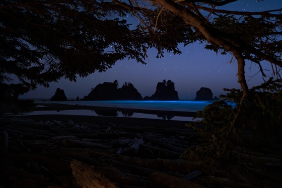 Olympic National Park