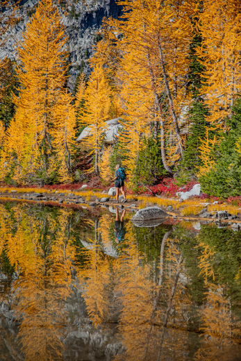 Alpine Lakes Wilderness