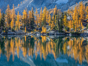 Alpine Lakes Wilderness