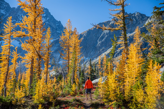 Alpine Lakes Wilderness