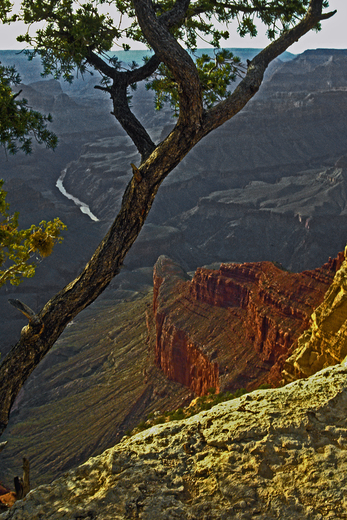 Grand Canyon National Park